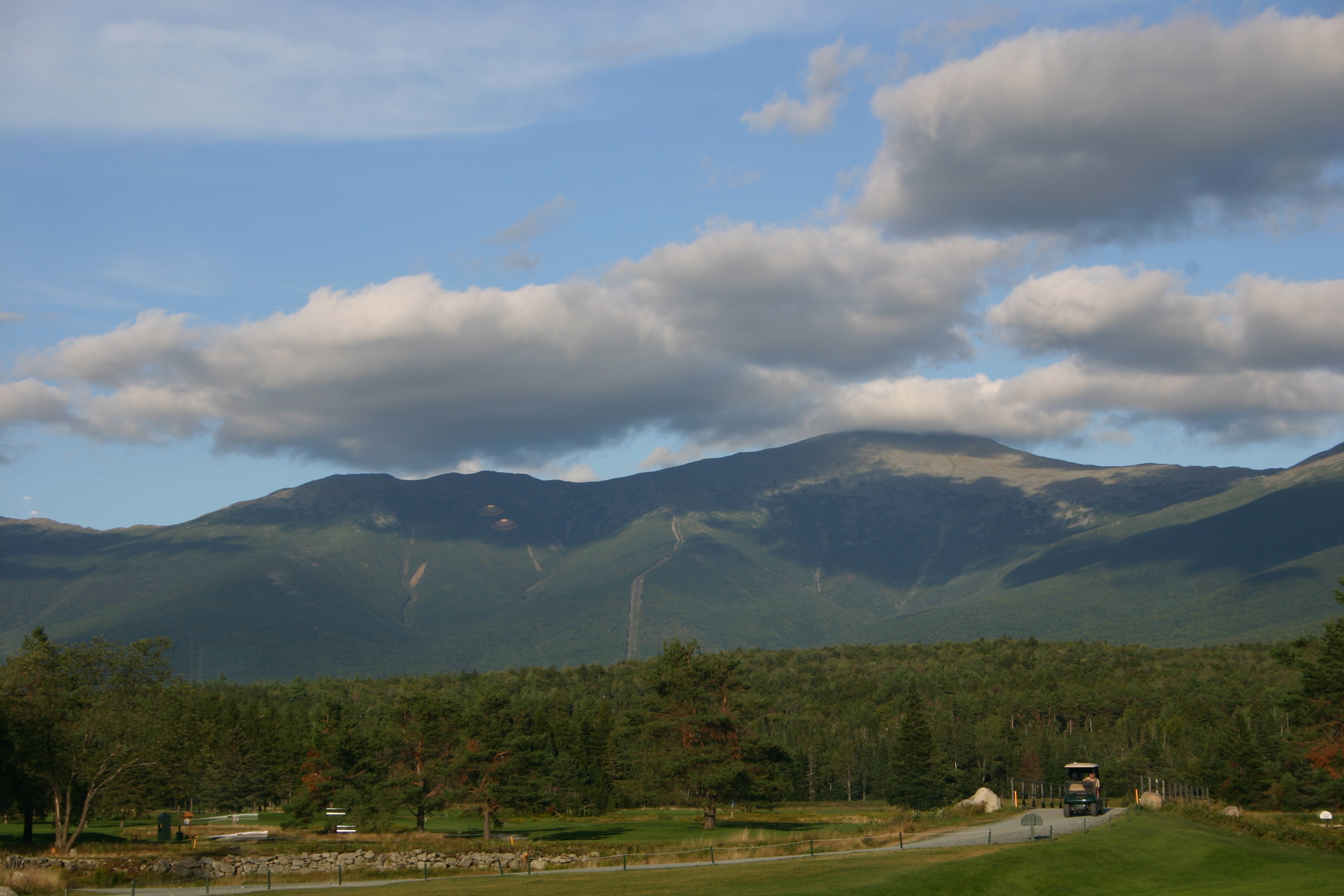 picture 10.